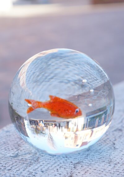 Ball - Aquarium Red Fish Murano Glass