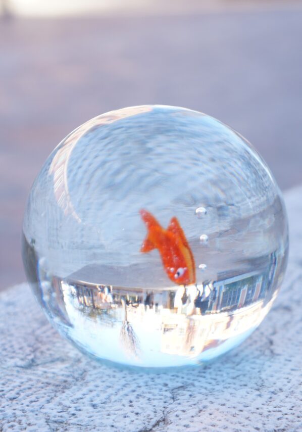 Ball - Aquarium Red Fish Murano Glass