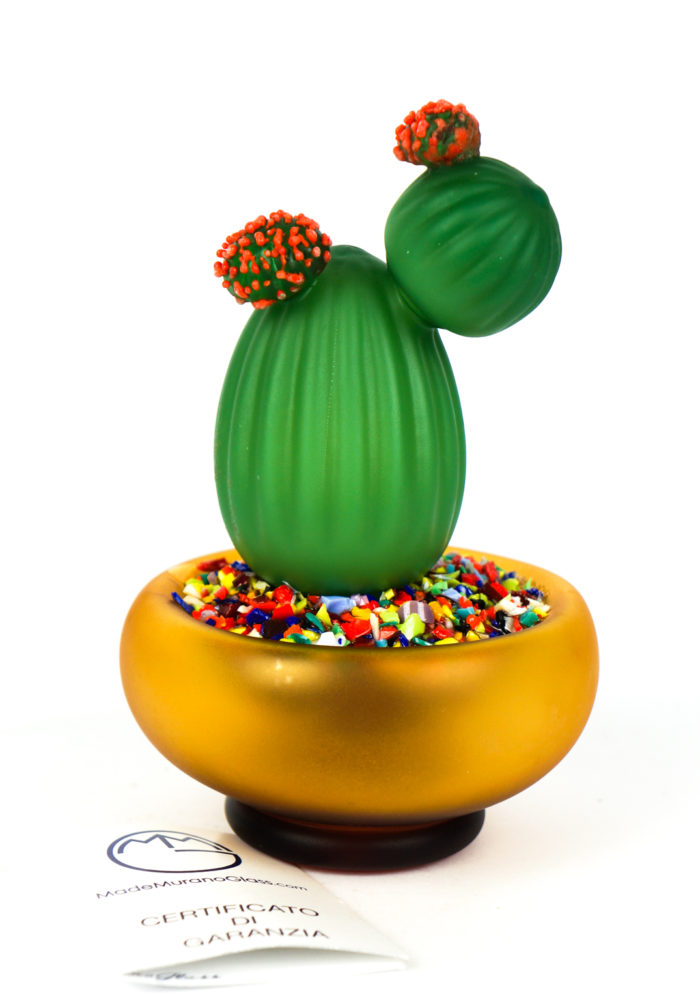 Lino – Pianta Grassa Cactus Vetro Soffiato Murano