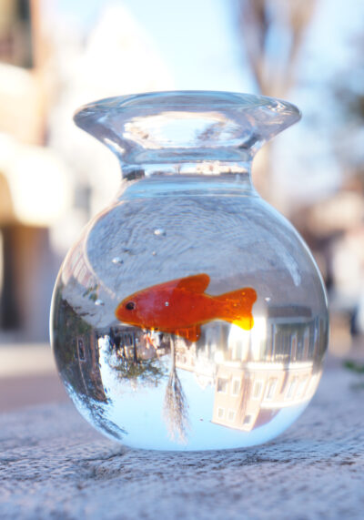 Bowl - Aquarium Red Fish Murano Glass